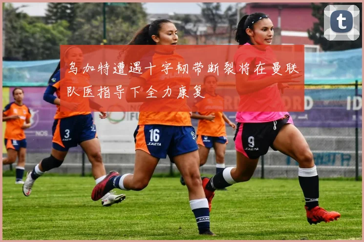 乌加特遭遇十字韧带断裂将在曼联队医指导下全力康复