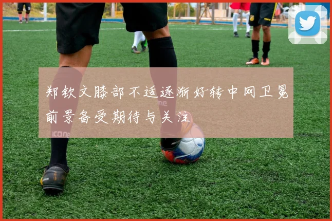 郑钦文膝部不适逐渐好转中网卫冕前景备受期待与关注